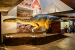 Museo Dinosaurios Arn