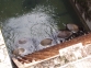 Jabals ahogados en el canal de Seira