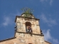 corte de higuera en campanario Iglesia de Benabarre